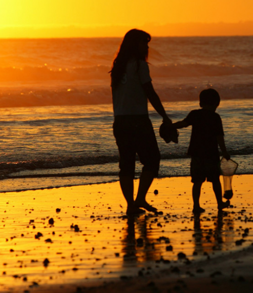 The Just Transition Summit